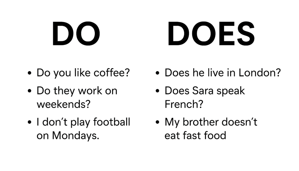 ChatGPT-Image-Dec-2_-2025_-11_00_55-AM